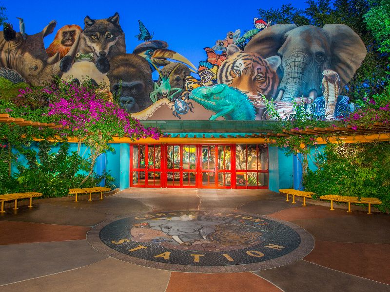 Conservation Station