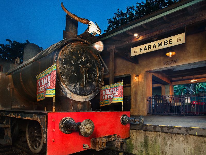 Wildlife Express