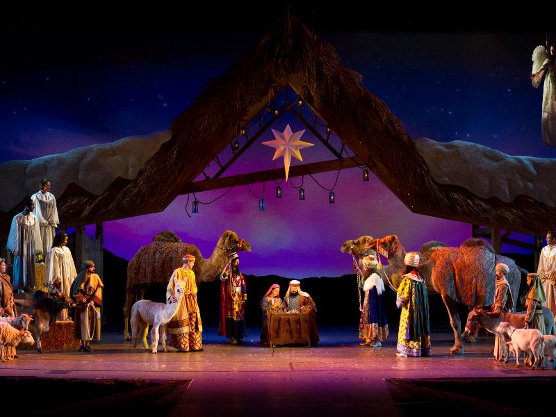Wondrous Night