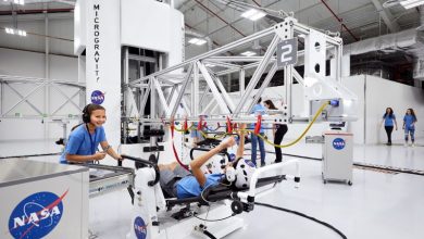 Foto de Treinamento de Astronauta