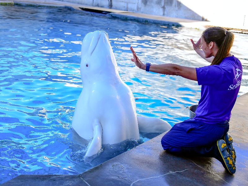 Foto de Oportunidade incrível! Tour gratuito nos bastidores do SeaWorld Orlando