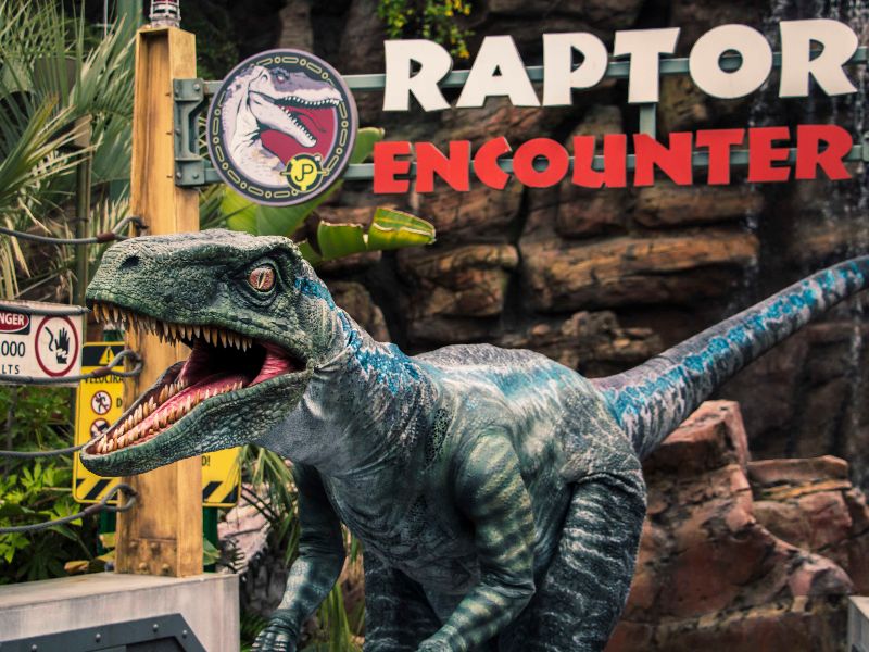 Raptor Encounter