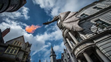 Foto de 20 experiências para os fãs de Harry Potter