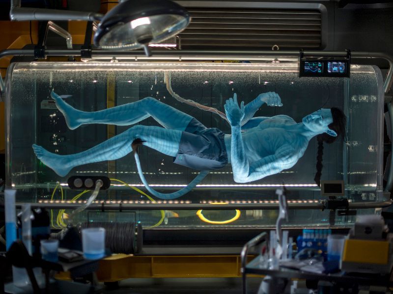 Avatar Flight of Passage