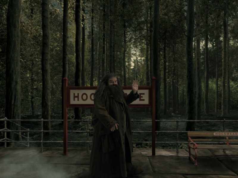 Hogwarts Express: Hogsmeade Station