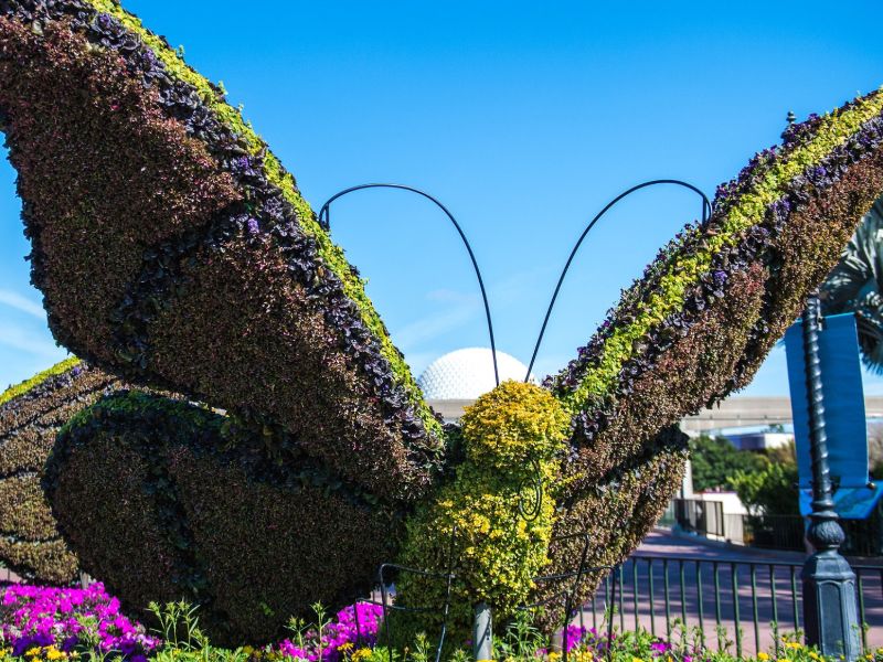 Jardim Epcot