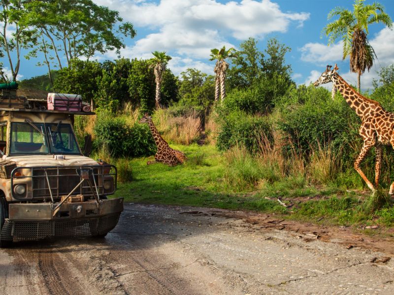 Africa