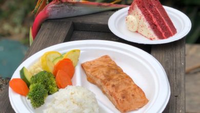 Foto de SeaWorld Parks & Entertainment remove itens de poliestireno nos seus restaurantes