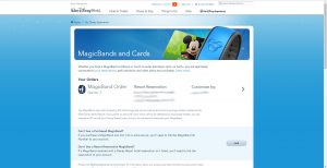 customização da Magicband