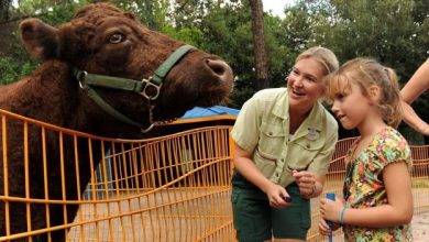 Foto de Rafiki’s Planet Watch reabre no verão americano