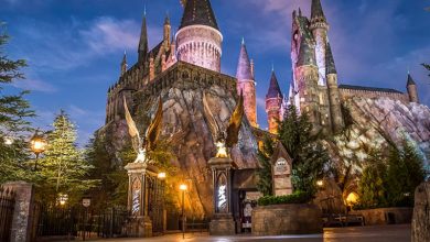 Foto de Universal, SeaWorld, Busch Gardens e Legoland também confirmam fechamento