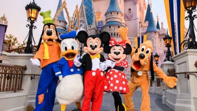 Foto de Ingressos da Disney