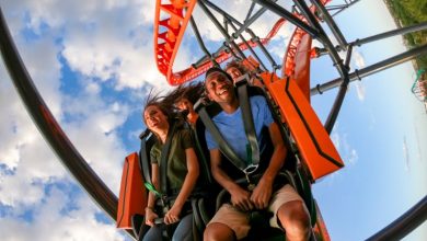 Foto de Busch Gardens Tampa Bay inaugura montanha-russa Tigris em 19 de abril