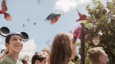 Foto de O evento Party for the Planet está a caminho do Disney’s Animal Kingdom