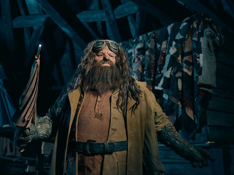 Hagrid