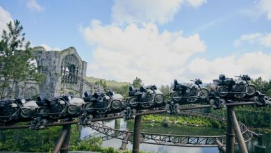 Foto de Hagrid’s Magical Creatures Motorbike Adventure é a mais longa montanha-russa da Florida