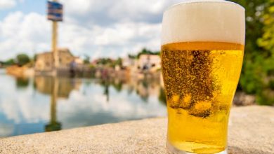 Foto de Garanta sua cerveja grátis no SeaWorld Orlando