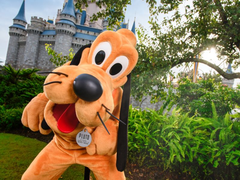 Quais fastpass você deve marcar na Disney? © disney