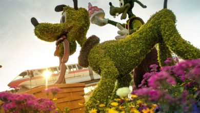 Foto de Disney altera lista de shows do Epcot International Flower and Garden Festival 2019