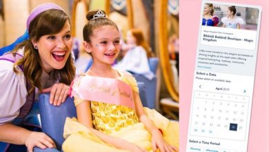 Foto de Extra Extra: Agora você pode fazer uma reserva on-line para o salão de beleza Bibbidi Bobbidi Boutique