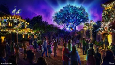 Foto de Celebração de Natal no Animal Kingdom