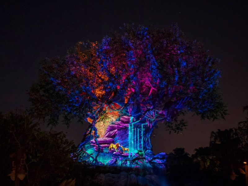 Projeção Animal Kingdom