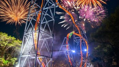 Foto de Evento Summer Nights já está rolando no Busch Gardens Tampa