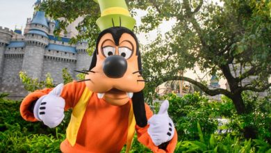 Foto de Onde trocar o e-ticket da Disney?