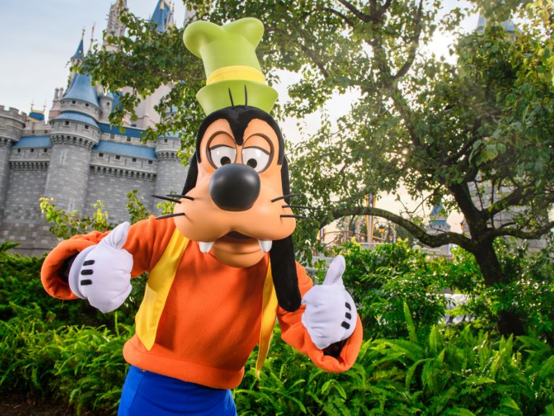 Magic Kingdom
