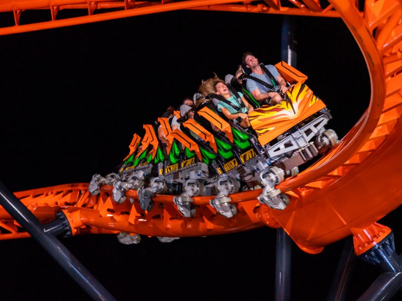 Tigris