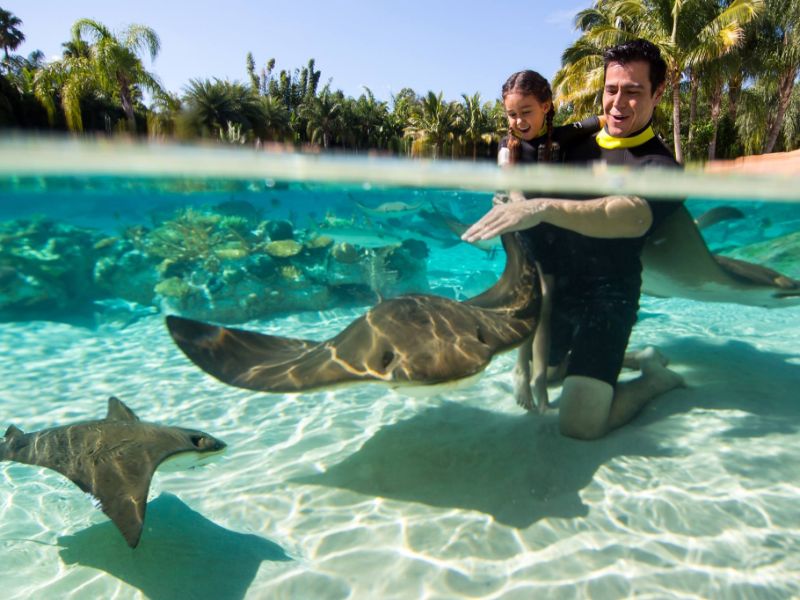 Discovery Cove