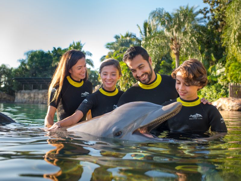 Discovery Cove com nado