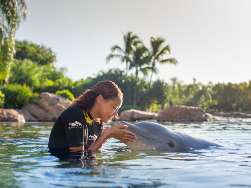 Discovery Cove com nado