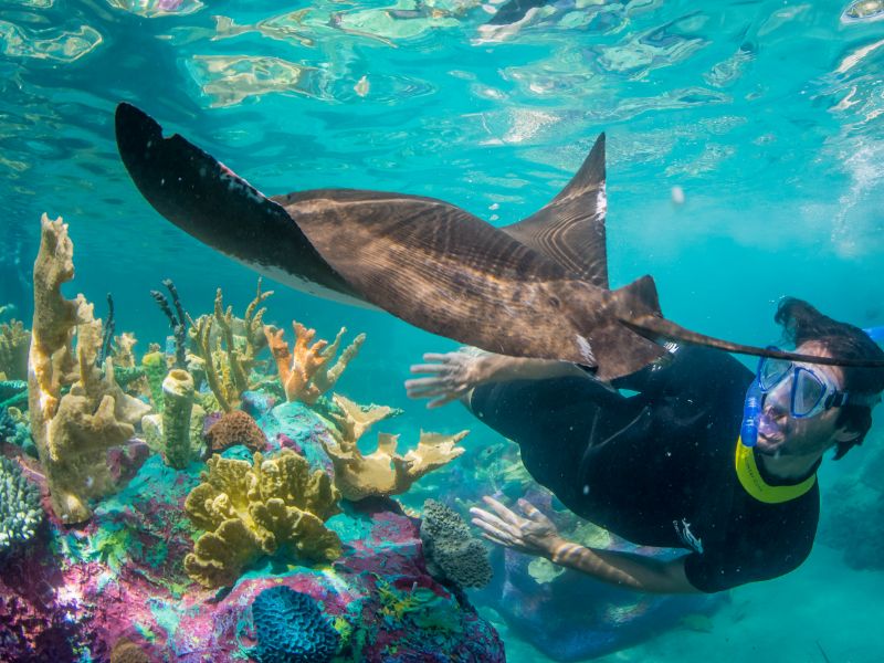 Discovery Cove sem nado
