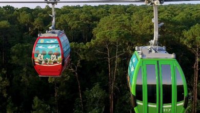 Foto de Teleférico da Disney abre em 29 de setembro