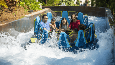 Foto de Ingressos SeaWorld