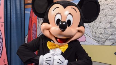 Foto de Mundança no encontro com personagens no Epcot