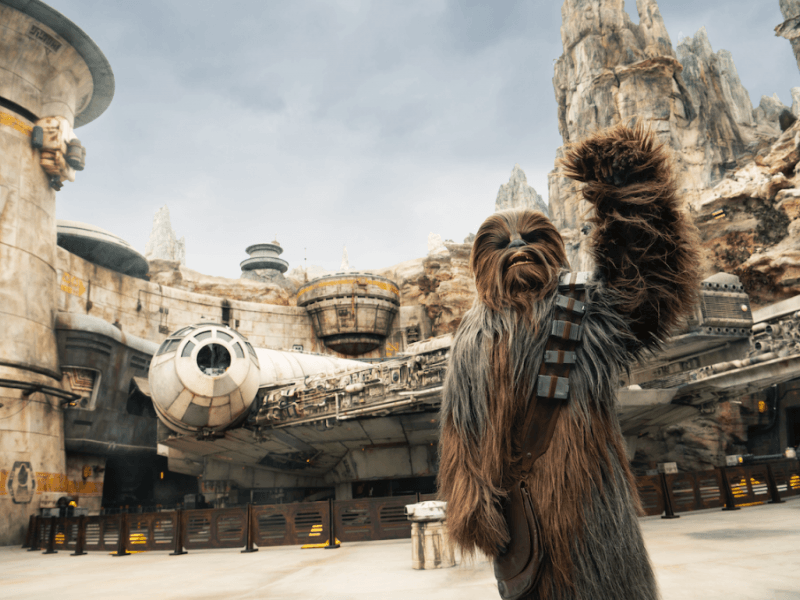 Chewbacca © disney