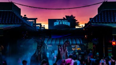 Foto de Como é o evento de Halloween do Busch Gardens?