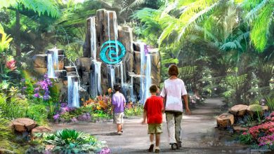 Foto de Novidade: Atração da Moana no Epcot