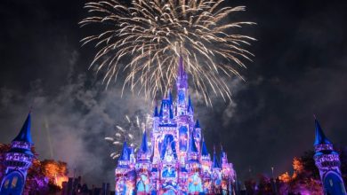 Foto de Ingresso Disney com super desconto