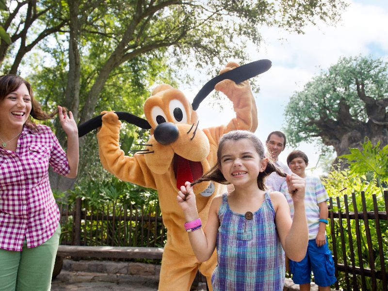 Animal Kingdom