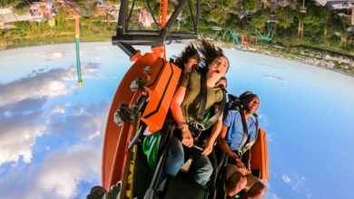 Foto de Que horas abre o Busch Gardens Tampa?