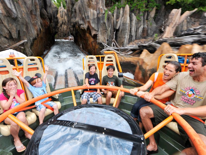 Boia Animal Kingdom