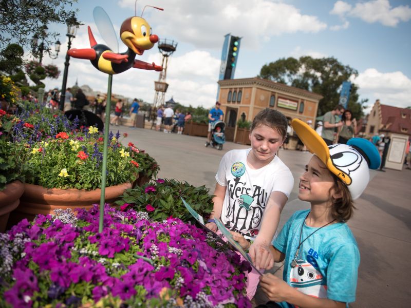 Epcot International Flower & Garden