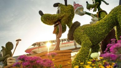 Foto de Datas do Epcot International Flower & Garden 2020