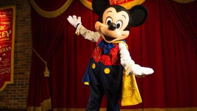 Foto de Mudança nos encontros com personagens do Magic Kingdom