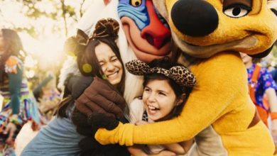 Foto de Encontre Timão e Rafiki no Animal Kingdom