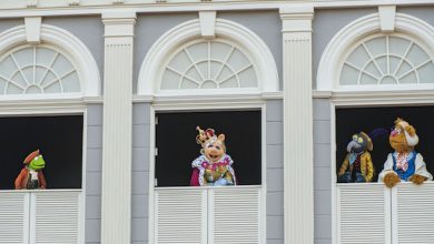 Foto de Fim de alguns shows do Magic Kingdom