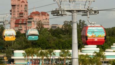 Foto de Disney Skyliner